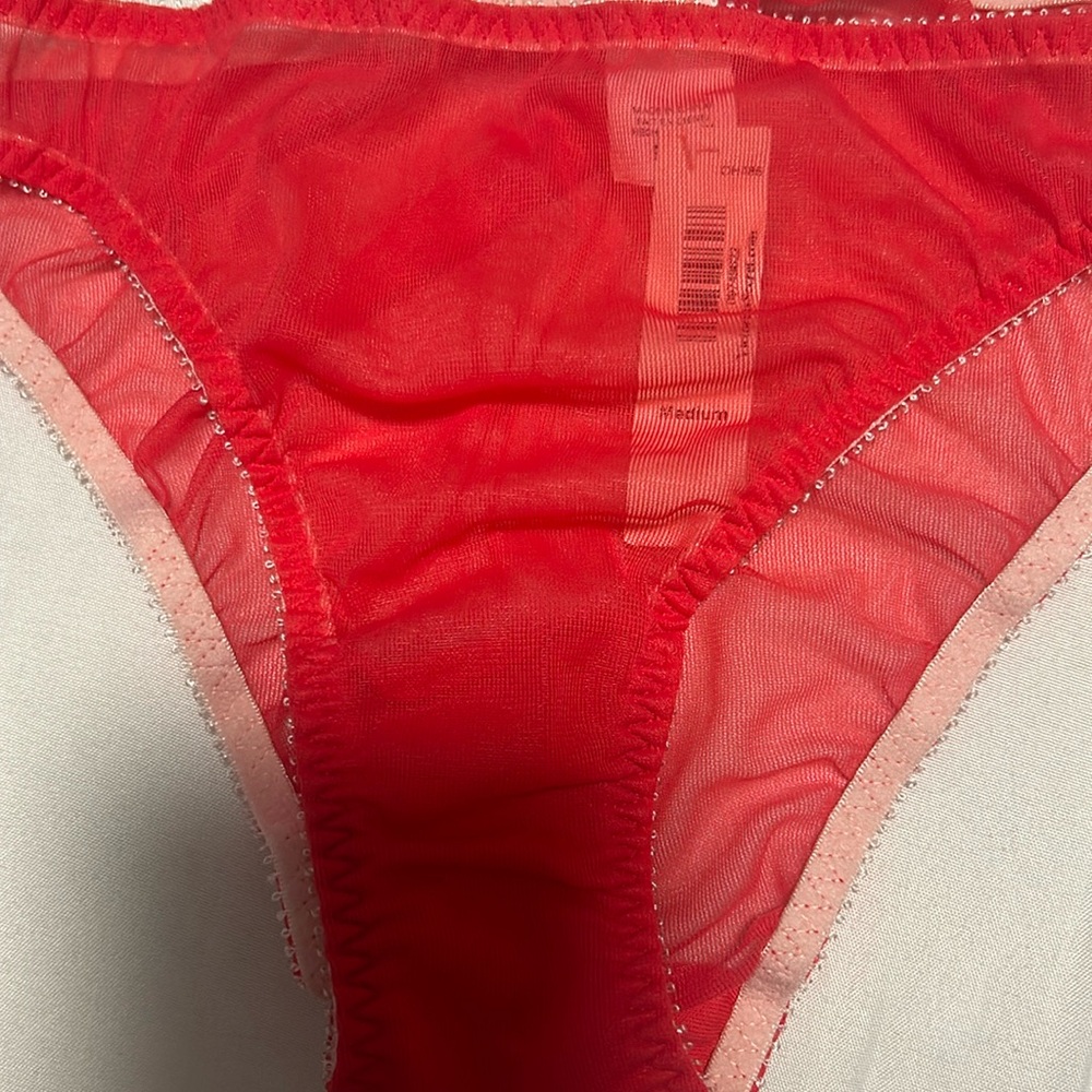 COPY - Victoria Secrets panties